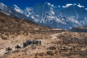 Why Everest Base Camp Trek ?