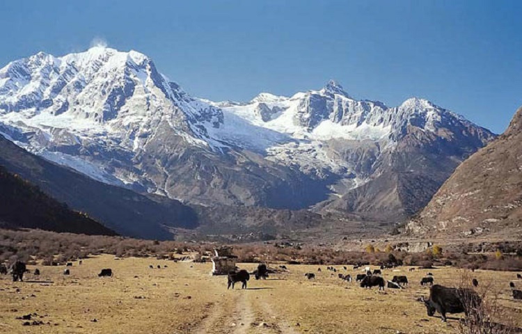 Image result for Manaslu Trekking www.thenepaltrekking.com