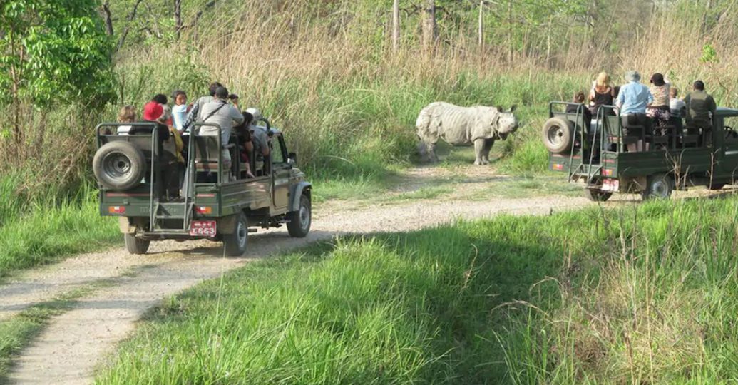 chitwan national park jungle safari