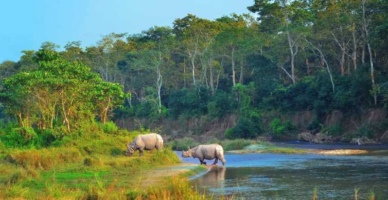 chitwan national park